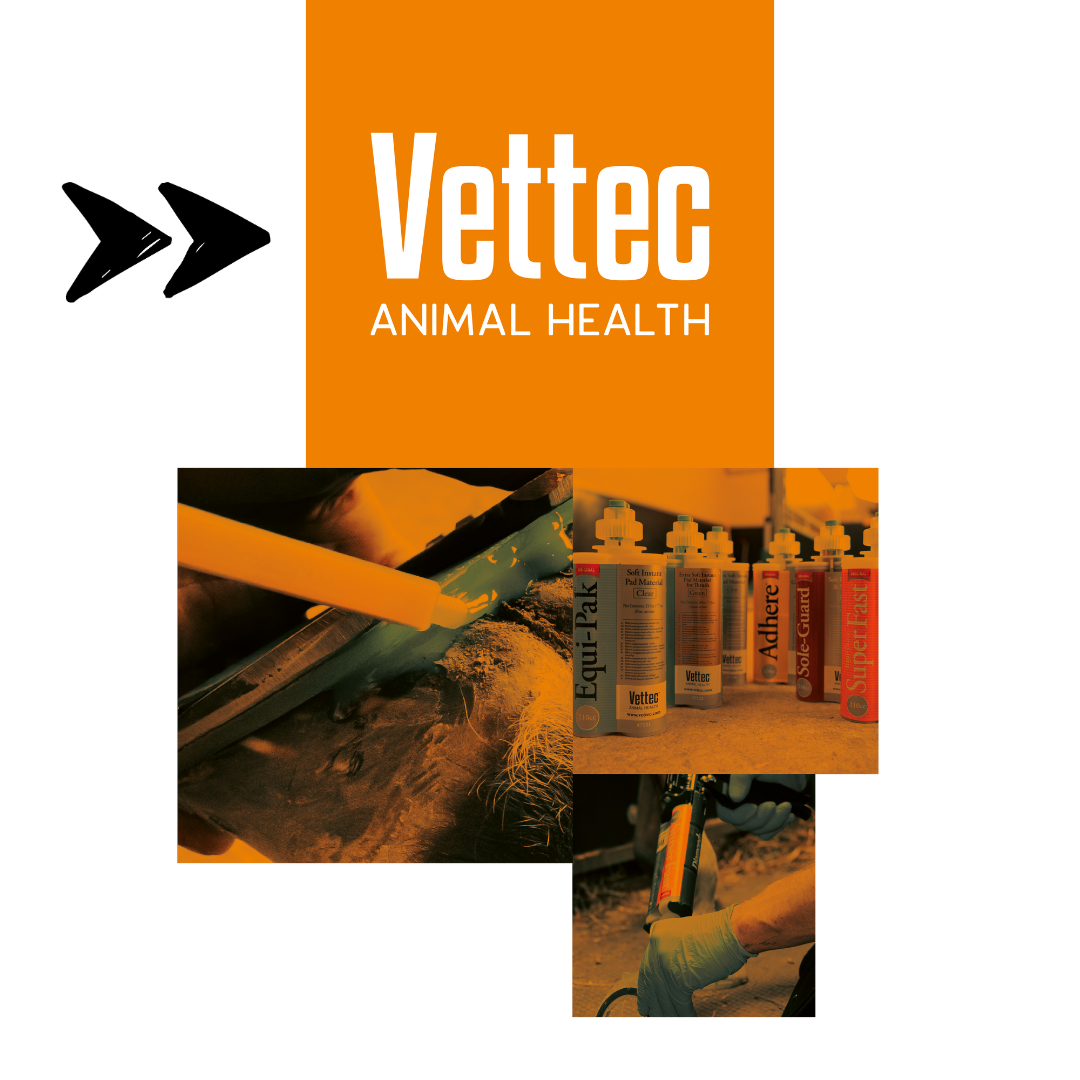Brand blocks Vettec
