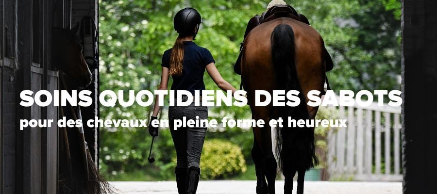 Soins quotidiens des sabots pour des chevaux en pleine forme et heureux