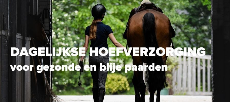 Day-to-Day Hoof Care for Healthy, Happy Horses NL