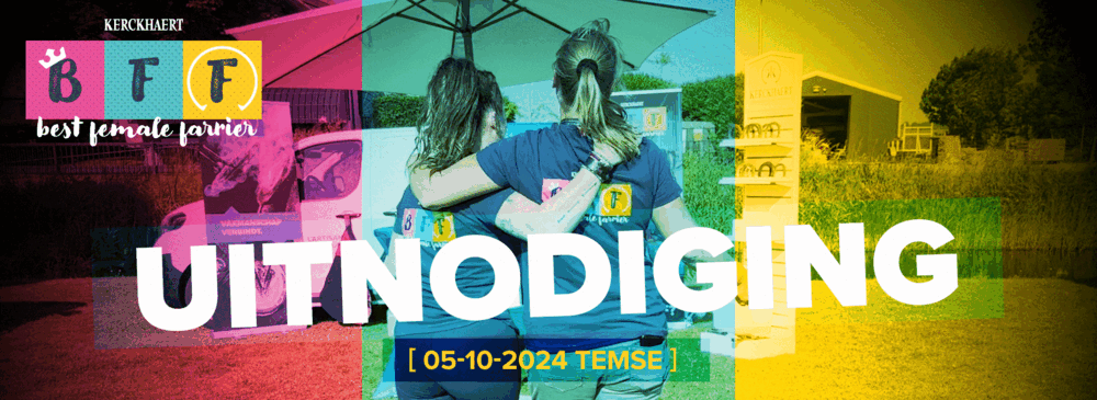 BFF-uitnodiging-Temse-1000px-compressed