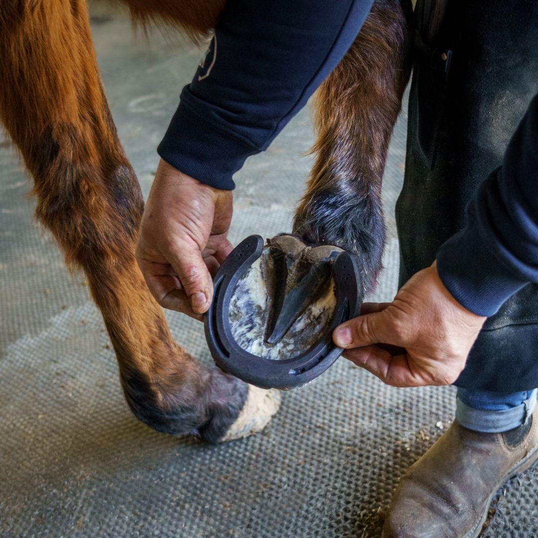 Comfort-Sport-Toe-Clipped