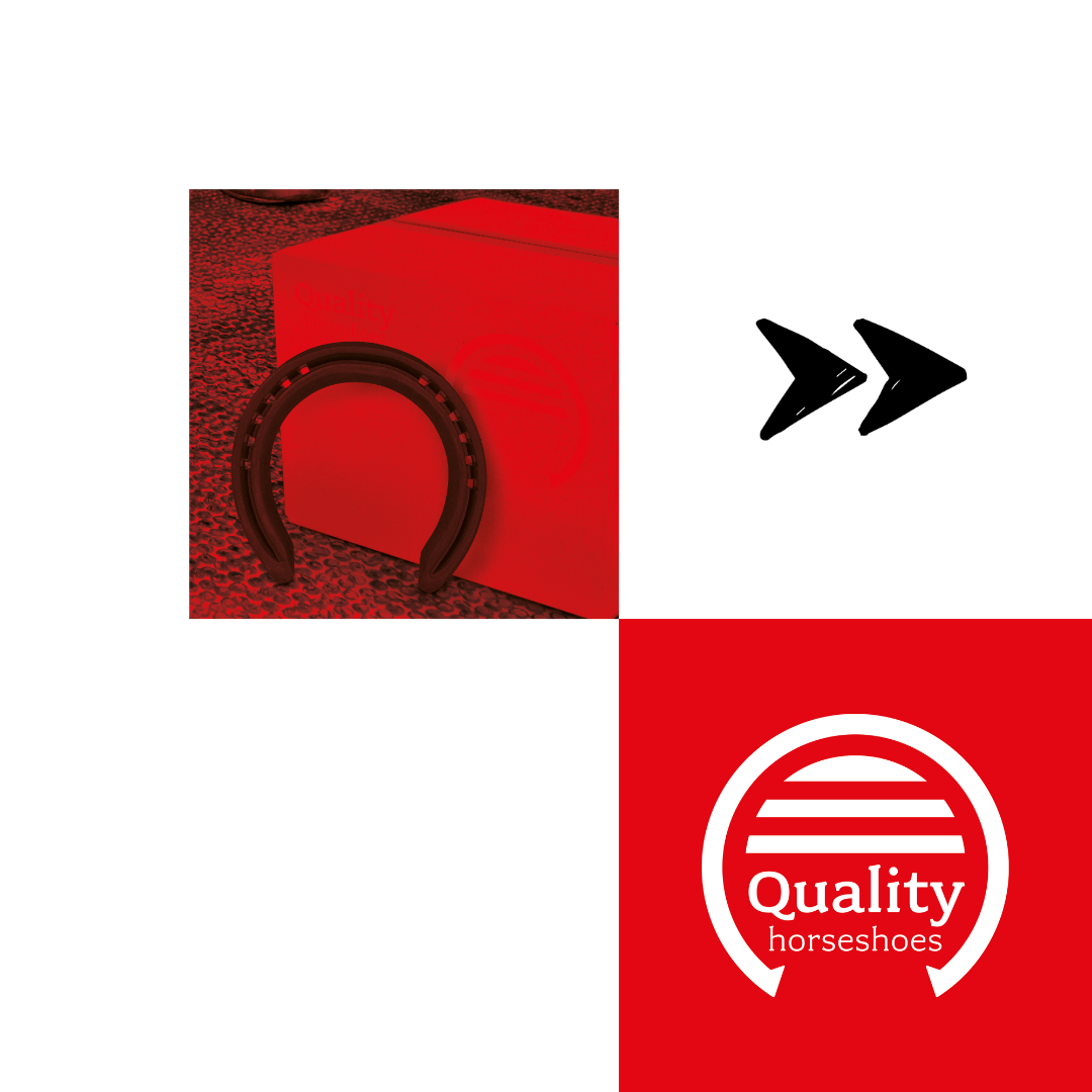 brand blocks quality horseshoes