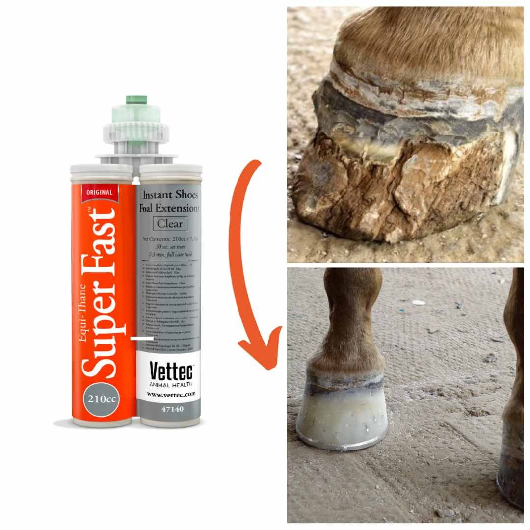 hoof repair superfast