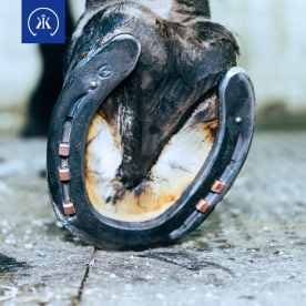 kerckhaert horseshoes