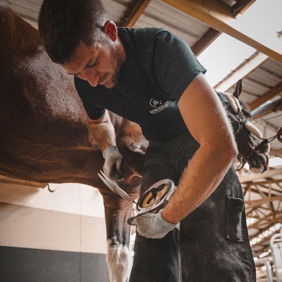 Julien Hazard - Diamond Pads