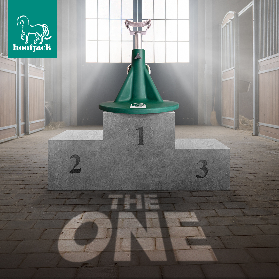 Scarpa Del Cavallo Che è Elaborata Dal Fabbro/maniscalco Fotografia - Foto 7