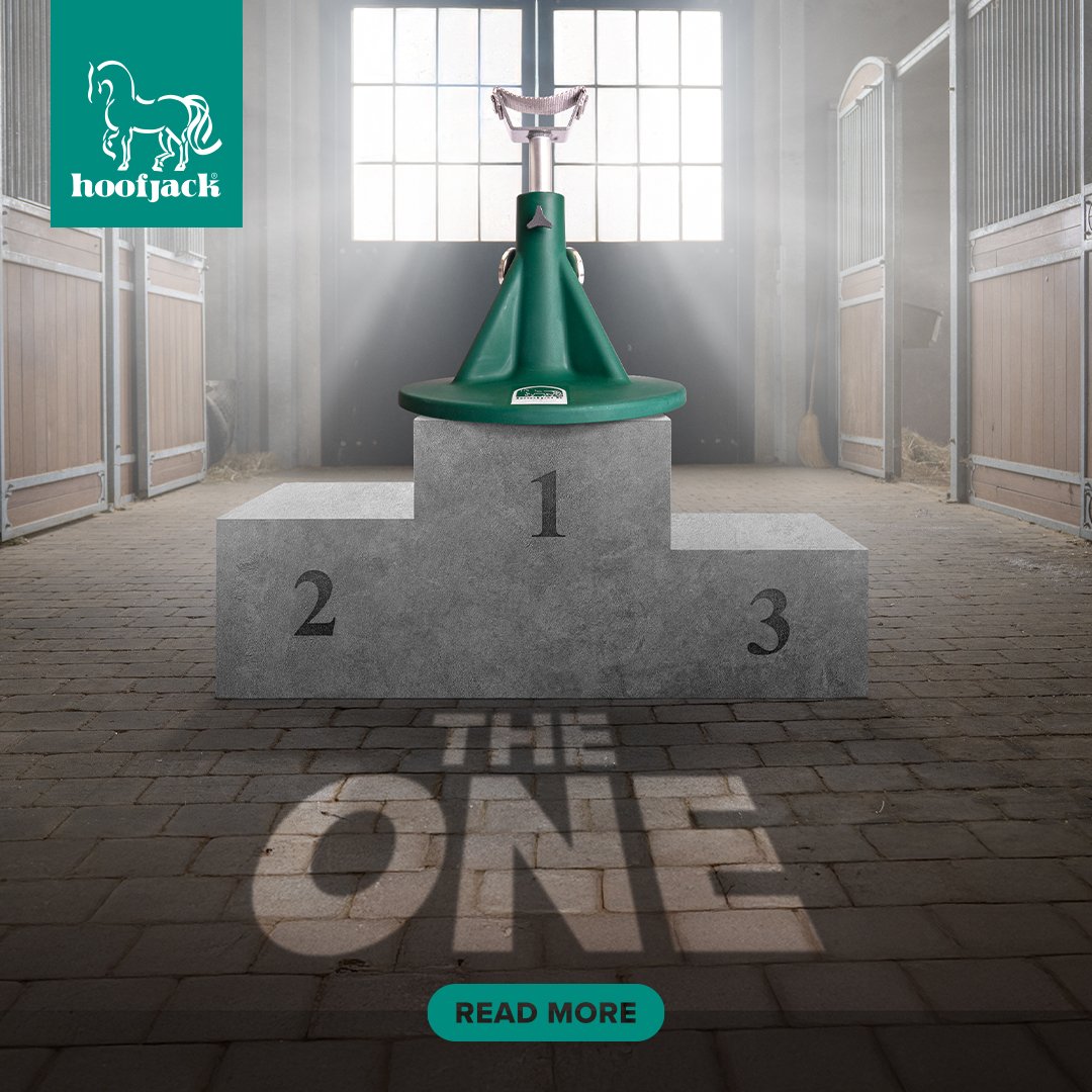 hoofjack_TheOne_1080x1080_B